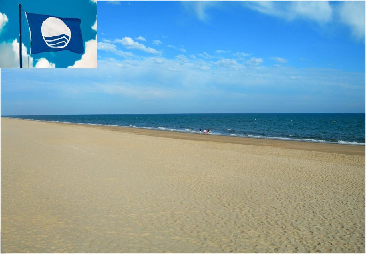 Apartamento Cerca Del Mar Олива Экстерьер фото